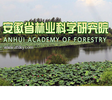安徽省林科院林业基地VR全景，高效数据备份